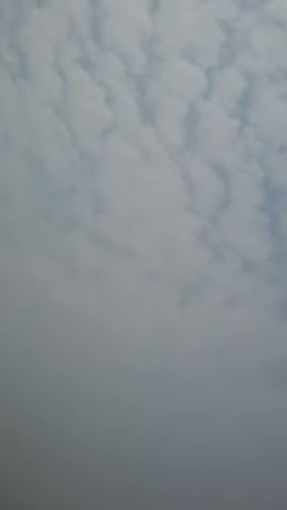 Shogun Axelo Acceleration 100kmh