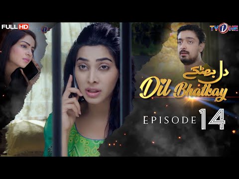 Dil Bhatkay — Episode 14