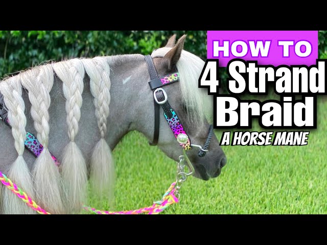 Train Your Horse's Mane to One Side - Pro Equine Grooms
