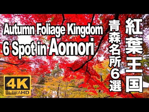 紅葉王国 青森紅葉名所６選　Autumn Foliage Kingdom in Aomori 青森観光 紅葉名所 奥入瀬渓流 十和田湖 八甲田山 蔦沼 弘前公園 JAPAN Oirase Gorge