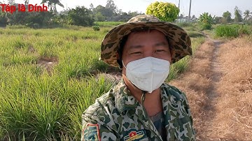 Táp là Dính # trải nghiệm giao lưu  câu cá lóc cùng anh em Tân Phú Đông,Tiền Giang