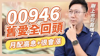 00946 舊愛全回頭月配高息又會成長剛上市可以買嗎【大俠武林】高股息 ETF 高殖利率 定期定額 被動收入 00878 0056 0050 00919 00940 台積電 鴻海 聯發科