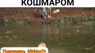 Поездка школьников обернулась кошмаром Поездка школьников обернулась кошмаром