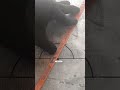 DIY Welding Techniques for Marking Right Angles #shorts #shortsviral #ytshorts #1million