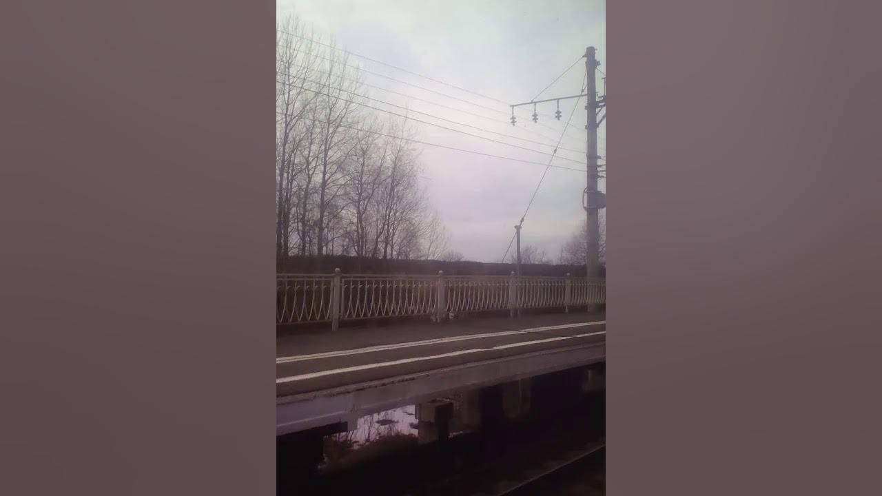 Электричка всеволожск романовка. Мга любань электричка. любань спб. любань спб лес.