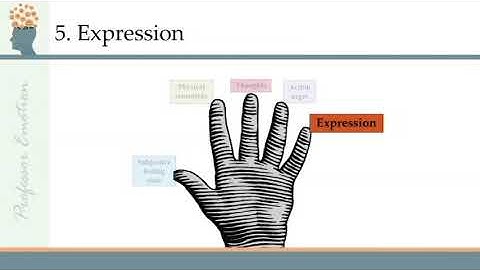 Components of Emotion (Ep 2)