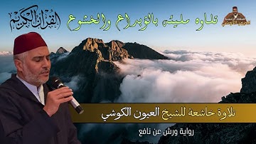 تلاوة مليئة بالإبداع والخشوع - من ليالي رمضان للقارئ الشيخ العيون الكوشي - Laayoune Al Kouchi