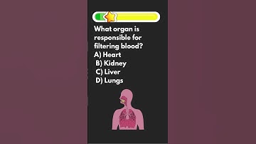 How smart are you?#quizgame #quiz #riddles #mindbendingquiz #english #vocabulary#riddleswithanswers