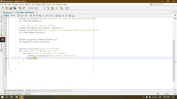 Matriz, ingreso de datos por usuarios   JAVA