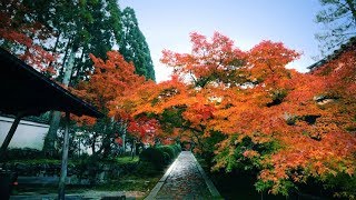 「そうだ 京都、行こう。」ナレーション撮り続けた長塚京三が25年目で卒業! JR東海『そうだ 京都、行こう。』CM 長見玲亜 検索動画23 「そうだ 京都、行こう。」ナレーション撮り続けた長塚京三が25年目で卒業! JR東海『そうだ 京都、行こう。』CM 長見玲亜 検索動画 23
