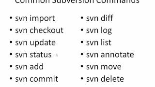 2013-11-19 A Brief Introduction to Subversion