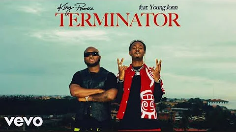 King Promise - Terminator Feat. Young Jonn (Remix) [Official Video Edit]