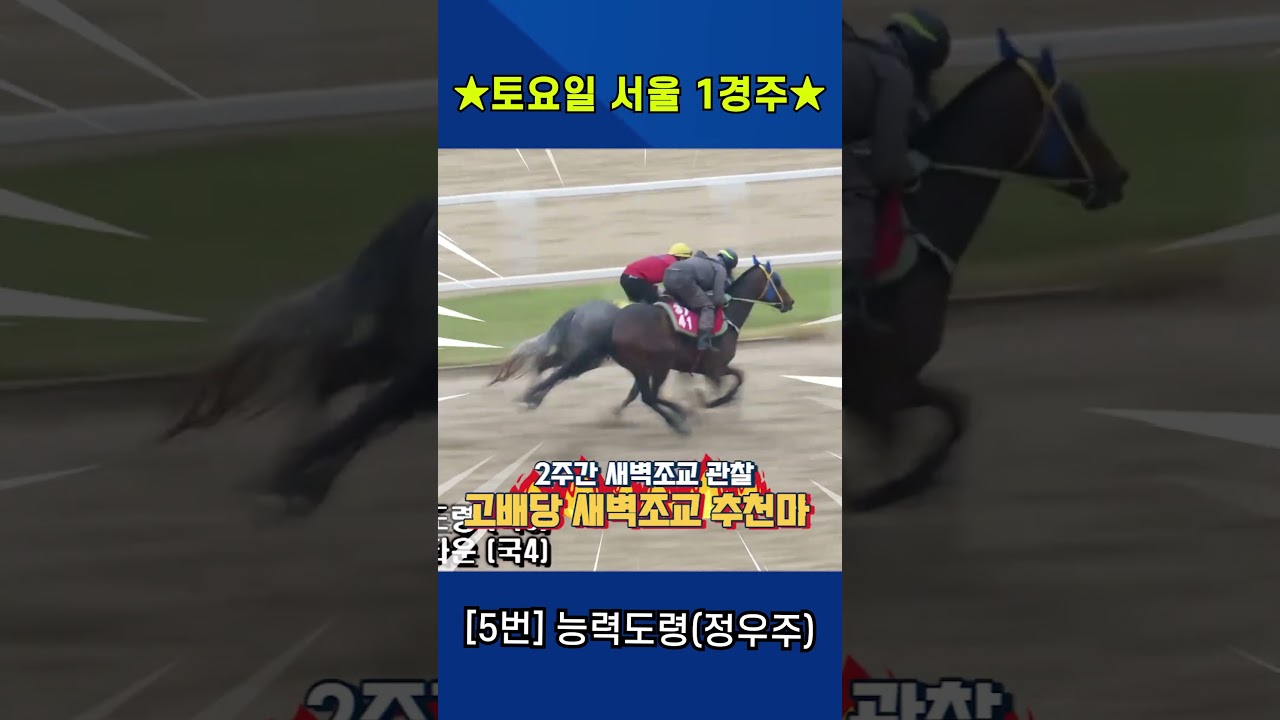5월23일 토요일 서울 1경주!! 2주간 훈련보인 강백호의 새벽조교 쏘스마!!