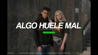E-commerce Website Redesign and Page Speed Optimization for my Client from Spain