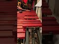 Megalavania on Marimba #marimba #music