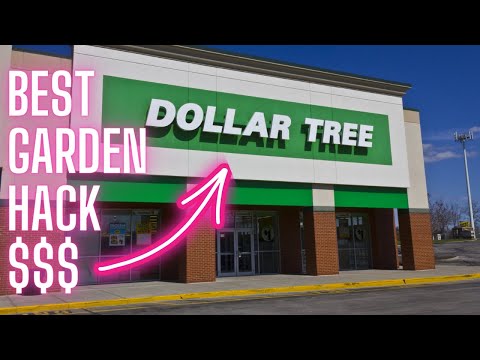 Dollar Tree Simple Garden Hack You Must Try