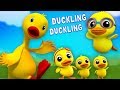 anak itik anak itik ya mama | sajak anak | puisi anak-anak | Duckling Duckling | Farmees Indonesia