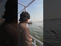 Guess karo kaha hai ☺️|#romeramit #shortvideo