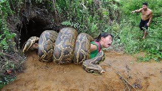 Primitive Life: Ethnic Girl's Dig Underground House Meet Big Python - Anaconda Vs Girl's