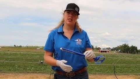 Word in the Herd - How to Insert CIDR