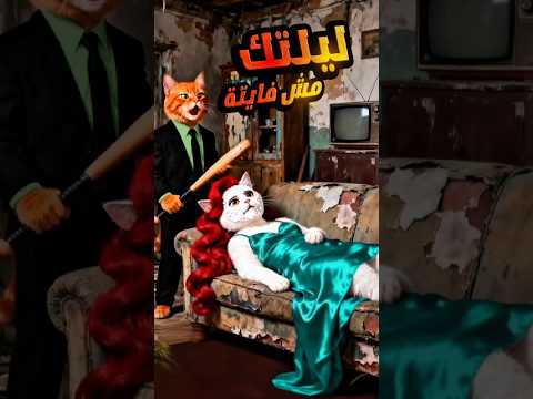 القطة مياو الشريرة بتخلي حماتها خدامة    