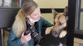 Priceless Pets Rescue: A WSYC Mini Doc.