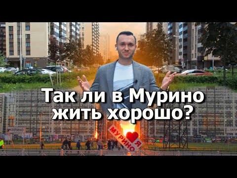 Мурино. Девяткино. Восточное Мурино и Западное Мурино. Обзор Мурино. Петербургские новостройки.