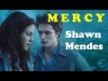 Mercy - Shawn Mendes (Clip sur Twilight sous-titré en français)