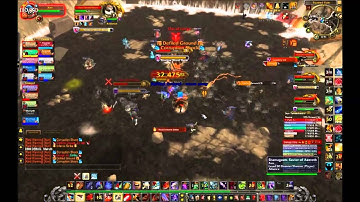 Zen VS Fallen Protectors Flex Raid