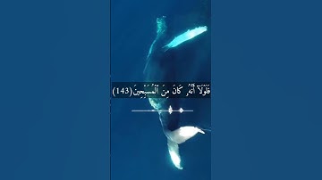 وان يونس لمن المرسلين.....سورة الصافات بصوت القارئ عمير شميم #قران_كريم #عمير_شميم