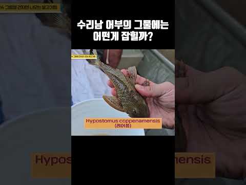 눈알이 왜 저기에 달렸어 <strong>신기하다</strong>