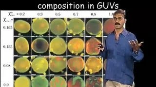 Satyajit Mayor (NCBS) Part 1: What are Membrane Rafts?