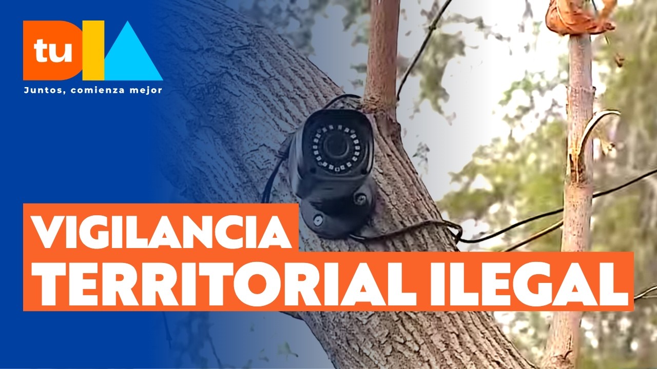 Ocultas en árboles y tubos PVC: Realizan operativo de retiro de 'narco cámaras' en La Granja
