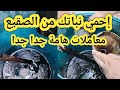 إحمي نباتك من الصقيع بهذه الرشات والمعاملات الهامة جدا للنبات