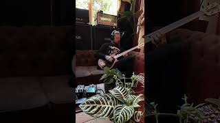 Jptr Fx Titan 250 - With Bass