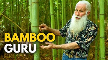 The Holy Grail Homestead Plant & The Secrets to Grow It