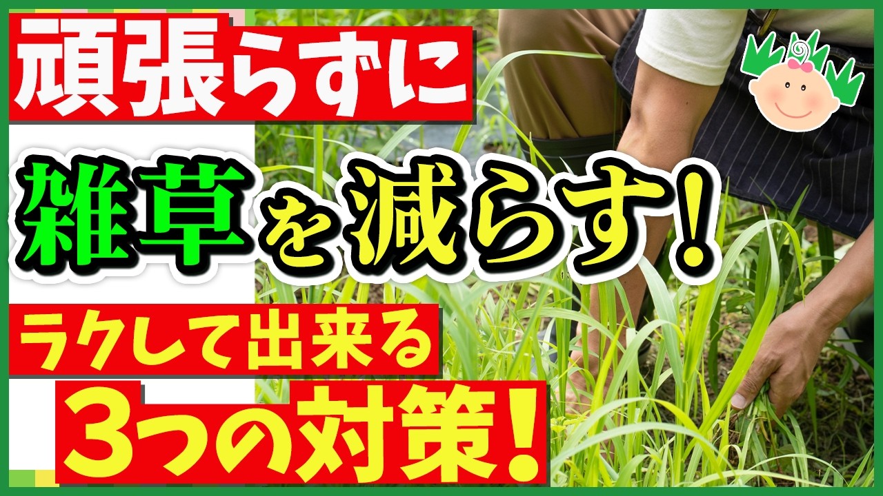 Reduce weeds without any effort! Easy weed control without