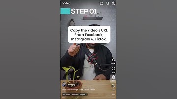 How to Download Videos from Facebook, Instagram & TikTok | Free Video Downloader Plus Guide | Mobile