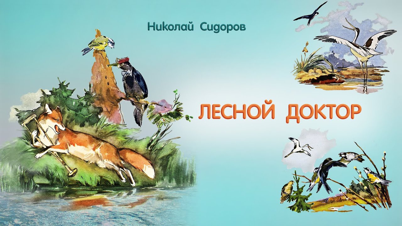 Пришвин лесной доктор читать полностью с картинками