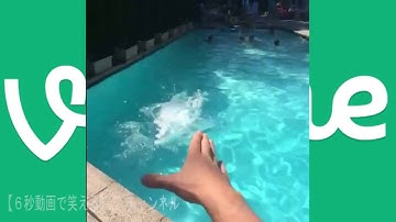 映画『スイートプールサイド』応援企画 Vineで宣伝しよう!!【イチ�