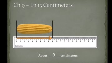 Math Grade 1 Measurement Detailed explanation with worksheet example | Learn with Fazila