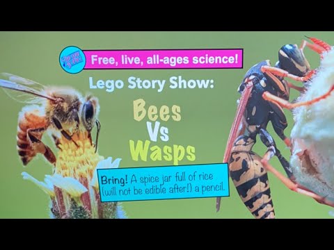 Lego Show: Bees Vs Wasps!