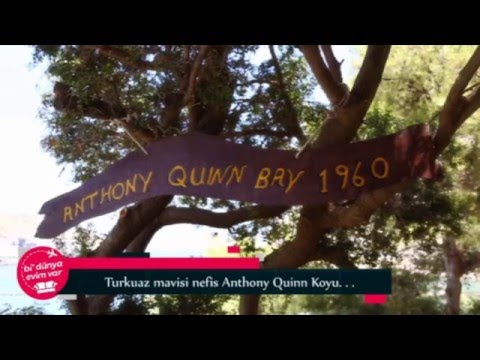 Anthony Quinn Beach
