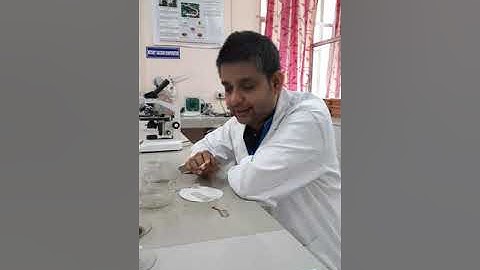 Methodology of morphology and microscopy of Cinchona bark