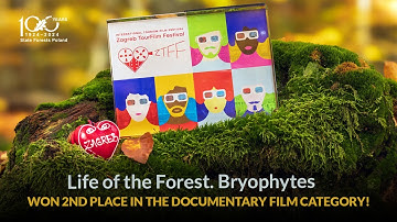 Trailer Life of the Forest. Bryophytes +2nd place ZTFF2025