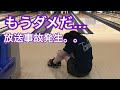 【ボウリング女子の成長日記】見てはいけません。上手く投げられなくなりました。【リーグ振り返り】【放送事故】
