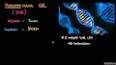 Moleküler Biyoloji: DNA'nın Merkezi Rolü ile ilgili video