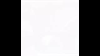 tai Lo semua😂😂.