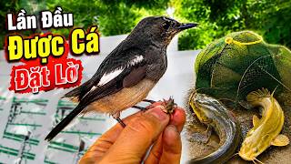 Bất Ngờ Bị Xổng Chim Và Lần Đầu Được Cá Đặt Lờ Ở Đằng Sau / Nguyễn Chiến