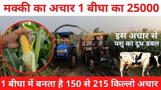 Makki da Achar (Full Video) | मक्की का अचार 1 बीघा का 25000 | Next Farmer |